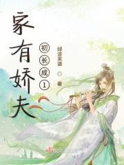 家有娇夫作者沉爱