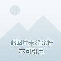 诡迷心窍txt之眼