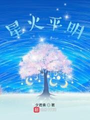 追逐星星的人