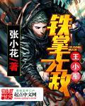 铁掌无敌王小军TXT百度