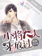 隐婚少夫人影帝宠上天