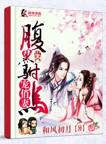 公主的腹黑驸马