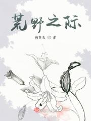 电影荒野之地