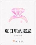 夏日邂逅什么意思