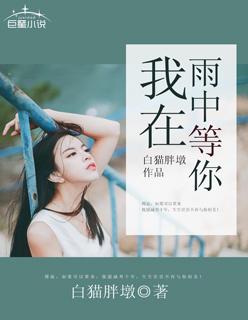 我在雨中等你内容简介