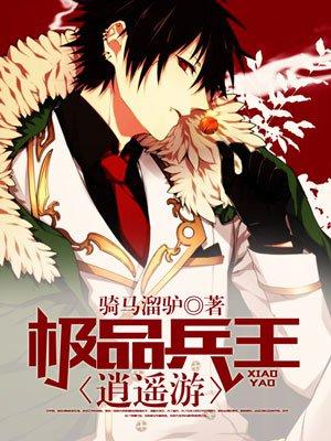 极品兵王百度百科