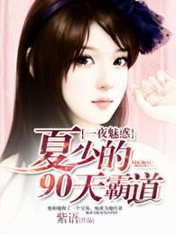 一夜一次顾少诱妻成瘾