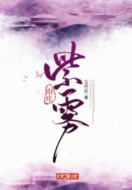 紫雾山庄TXT