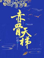 赤骨加种子有什么作用