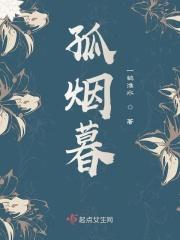 孤烟暮蝉多大岁数