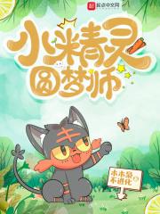圆梦精灵的骗局